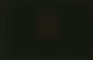 photos; swiss dreams 02