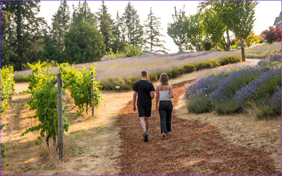 Couple in the vineyard