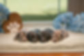 Sprinkles' Litter 2025.jpg