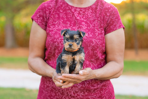 Jasmine's Litter Week 7-1.jpg