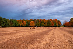 Banner-1.jpg