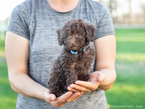 Jasper Week 9-5.jpg