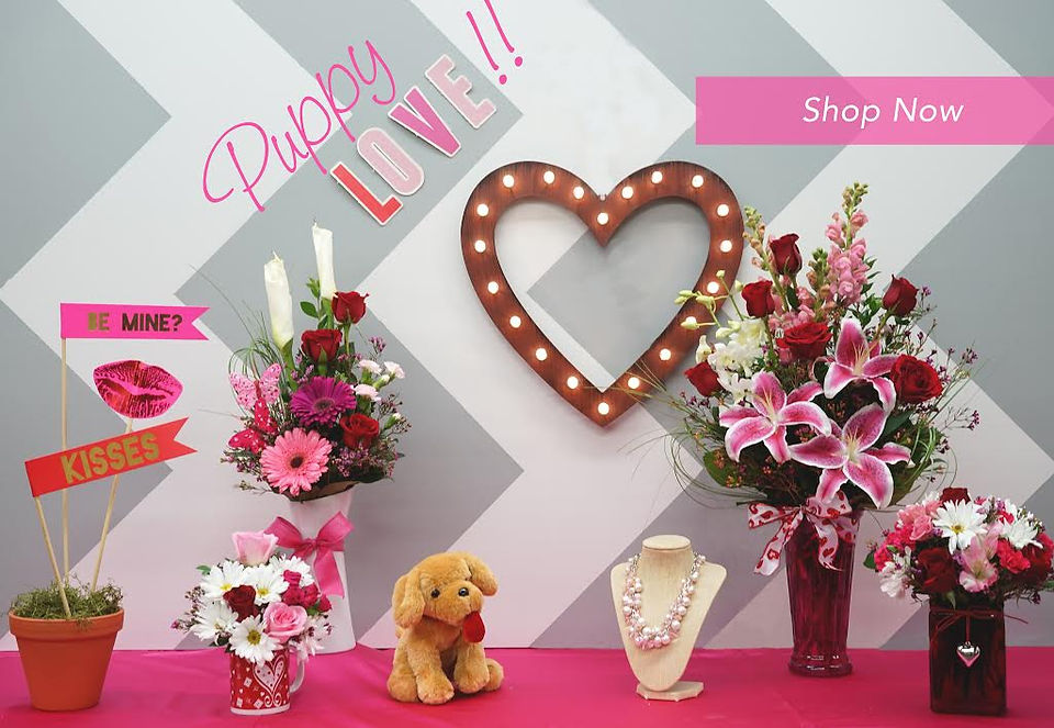 Valentine's Day Collection