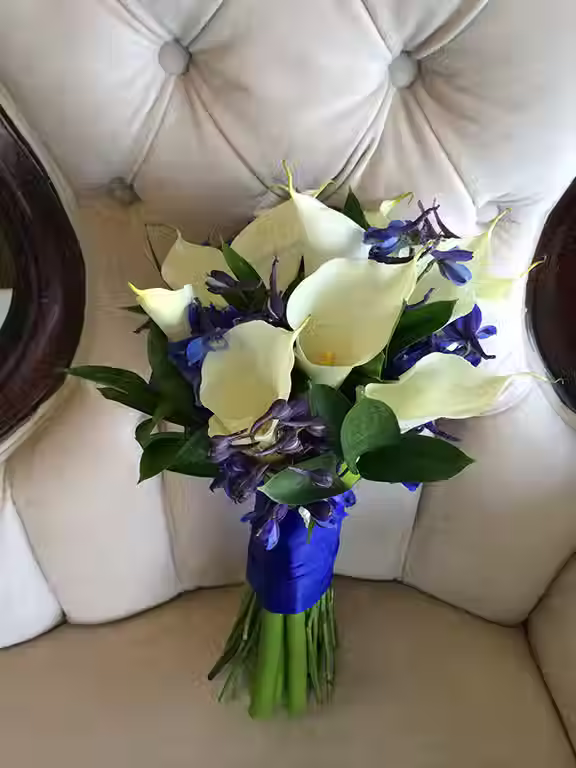 Price: $150.00
This bouquet features beautiful large calla lilies and royal blue delphinium.