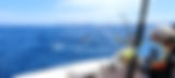 AdobeStock_135526902_Preview.jpeg