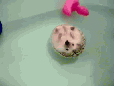 Got something weird in your plumbing!