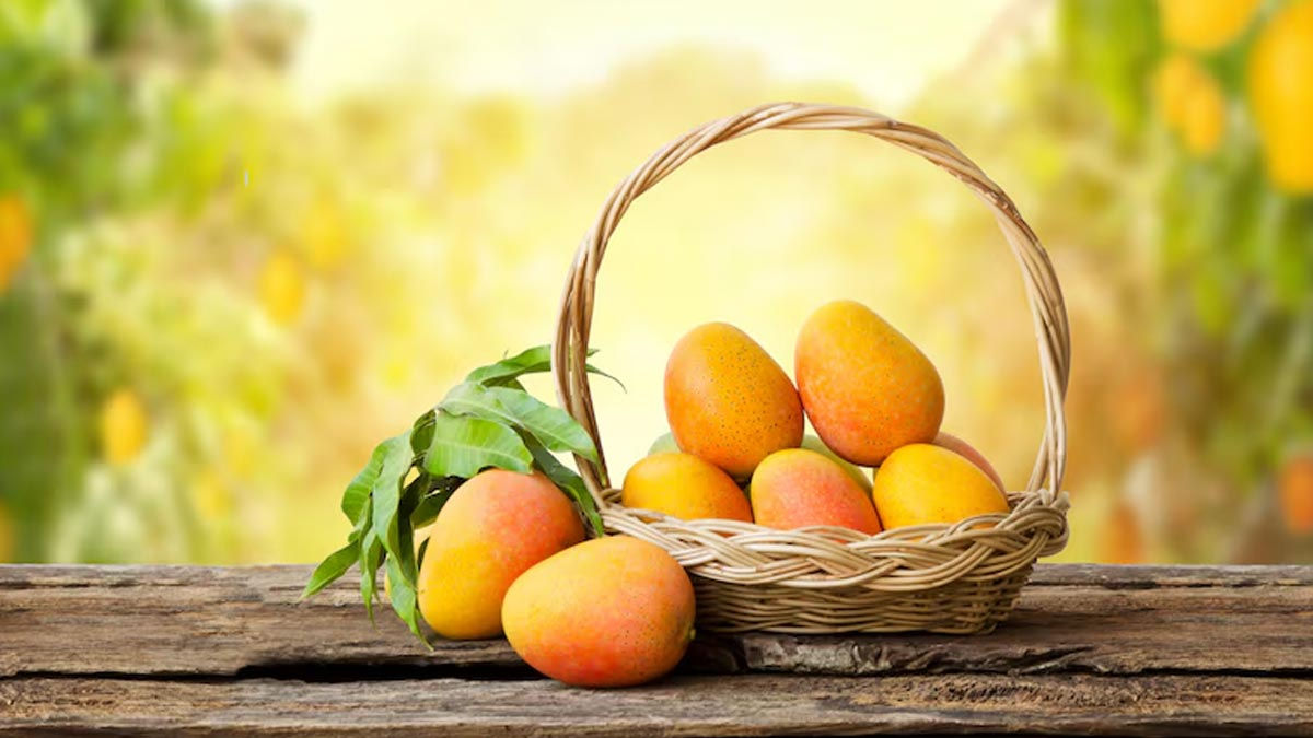 Premium Quality Mangoes for Exports -Ask for price