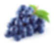 Black Grape