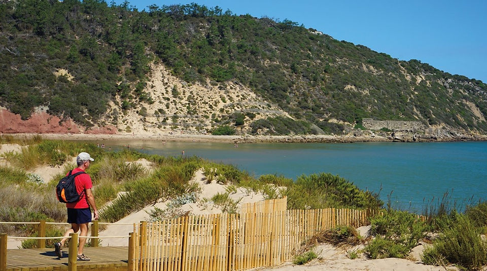 Wooden walkways in Salir do Porto strand - Portugal