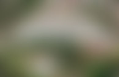 AIMI payment season is just around the corner