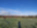 IMG_20201229_110708.jpg