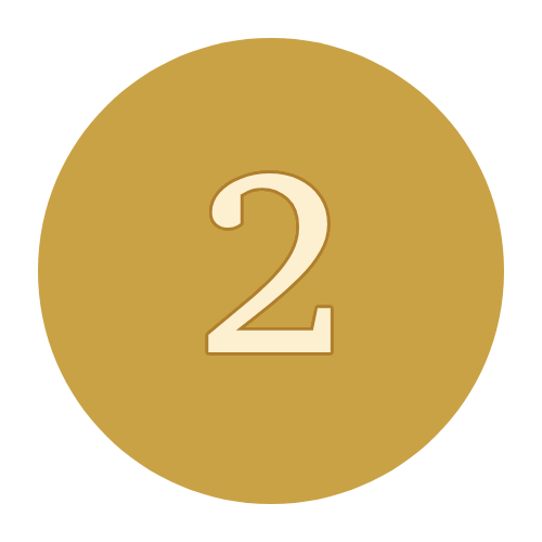 gemini-svg.png