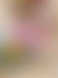 THE PRETTIEST COFFEE SHOP IN SEMINOLE