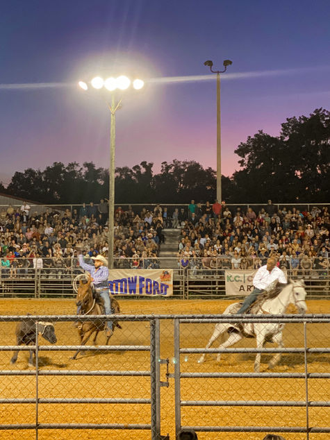 A NIGHT AT THE TAMPA BAY RODEO