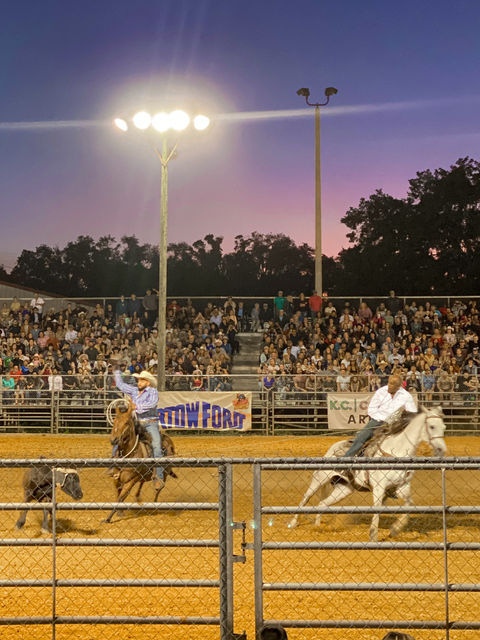 A NIGHT AT THE TAMPA BAY RODEO