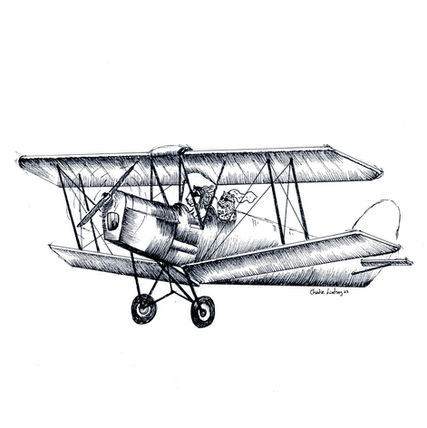 Love birds flying .jpg