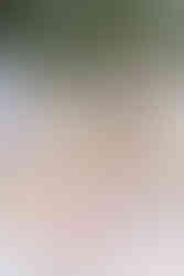 Wedding Reception at Scripps Seaside Forum