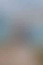 Big Sur Proposal Photos