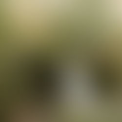 Best Wedding Venues: Botanica in Oceanside