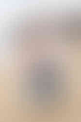 Surprise Proposal in Big Sur, CA