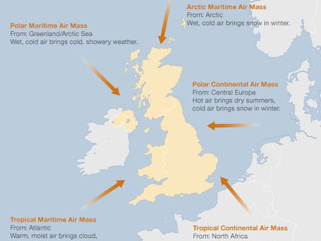 Creating a Temperate Greenhouse in the UK to Grow Subtropical Plants Successfully