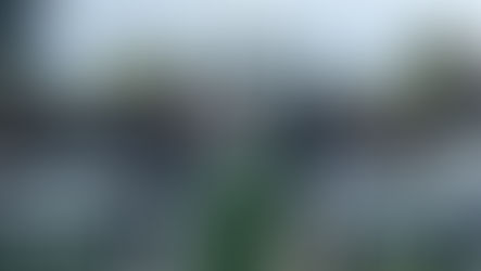 LET US HELP YOU CELEBRATE LIFE'S MOST SIGNIFICANT MOMENTS.