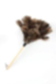 Gray Feather Duster_24"