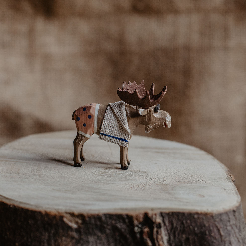 Miniaturbild: Dusdav