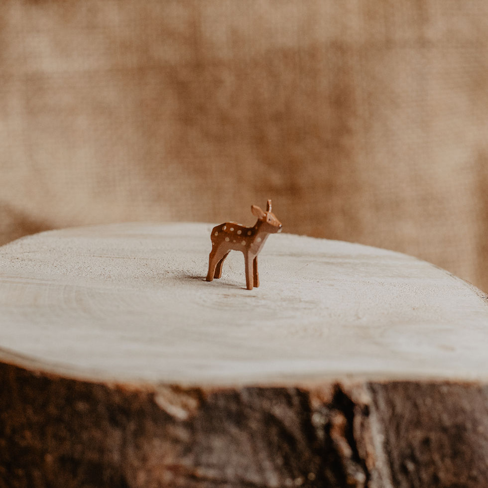 Thumbnail: Roe deer