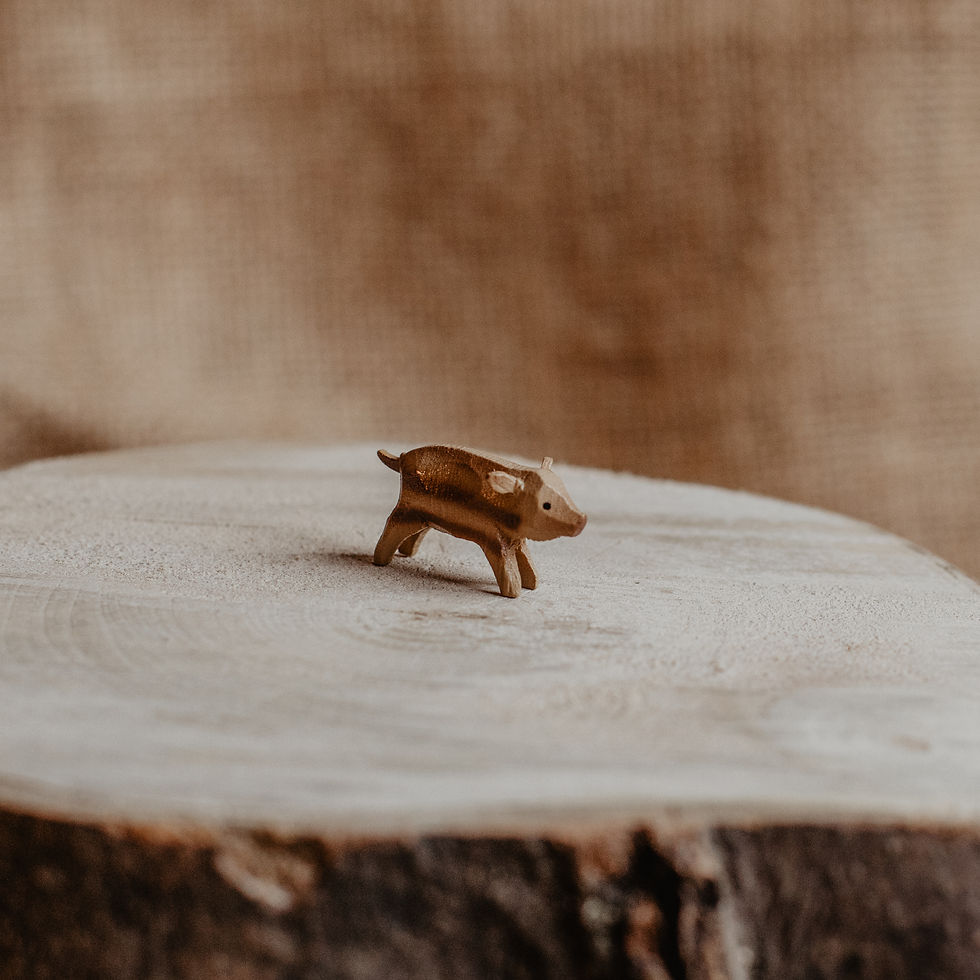 Miniaturbild: Wildschwein, spezial