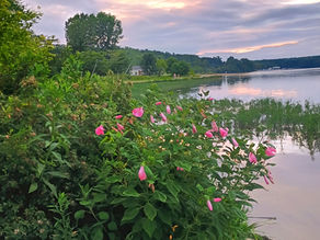 Floral Twilight