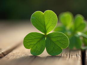 Close-up view of a green shamrock leaf on a wooden surface