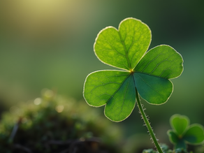 Close-up of a four-leaf clover with backlit sunlight, vibrant green leaves, and a soft focus background of green foliage. Peaceful mood.