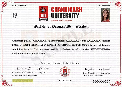 Chandigarh University Certificate