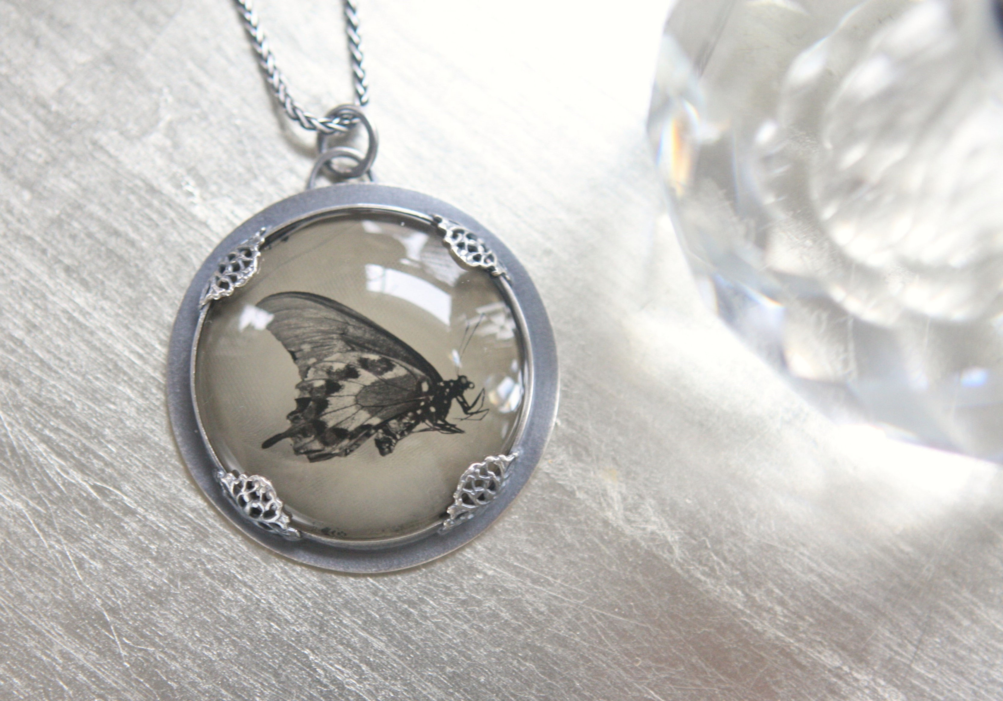 Butterfly Specimen Collodion Ambrotype Set In Sterling Silver w/Silver Chain