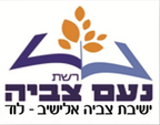 צביה אלישיב לוד.png