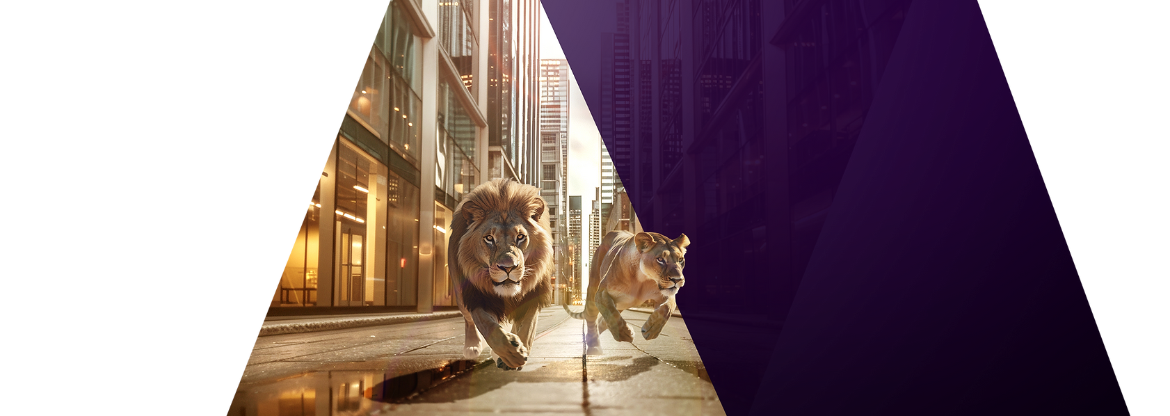 lpl header banner home copy.png