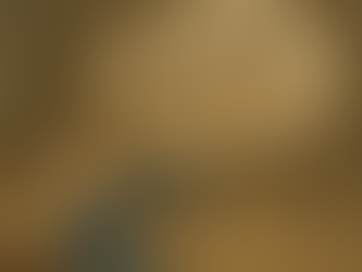 How Yanshan Dou Changed Fate