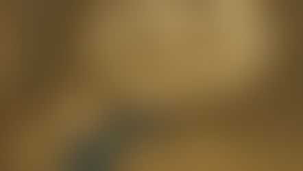 How Yanshan Dou Changed Fate