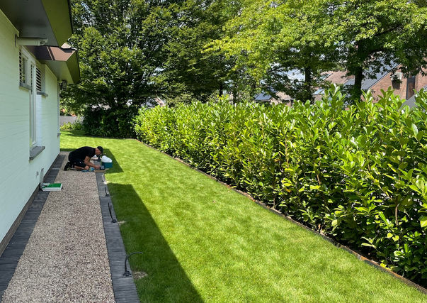 Aanleg van pad, beplanting en gazon in Aalst