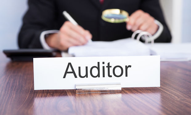 BM_Audit.jpg