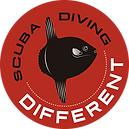 LOGO PNG.png