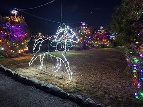 Liz xmas lights.JPEG