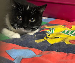 2025-12-19 19.07.28.jpg