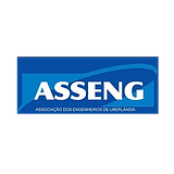 asseng.png