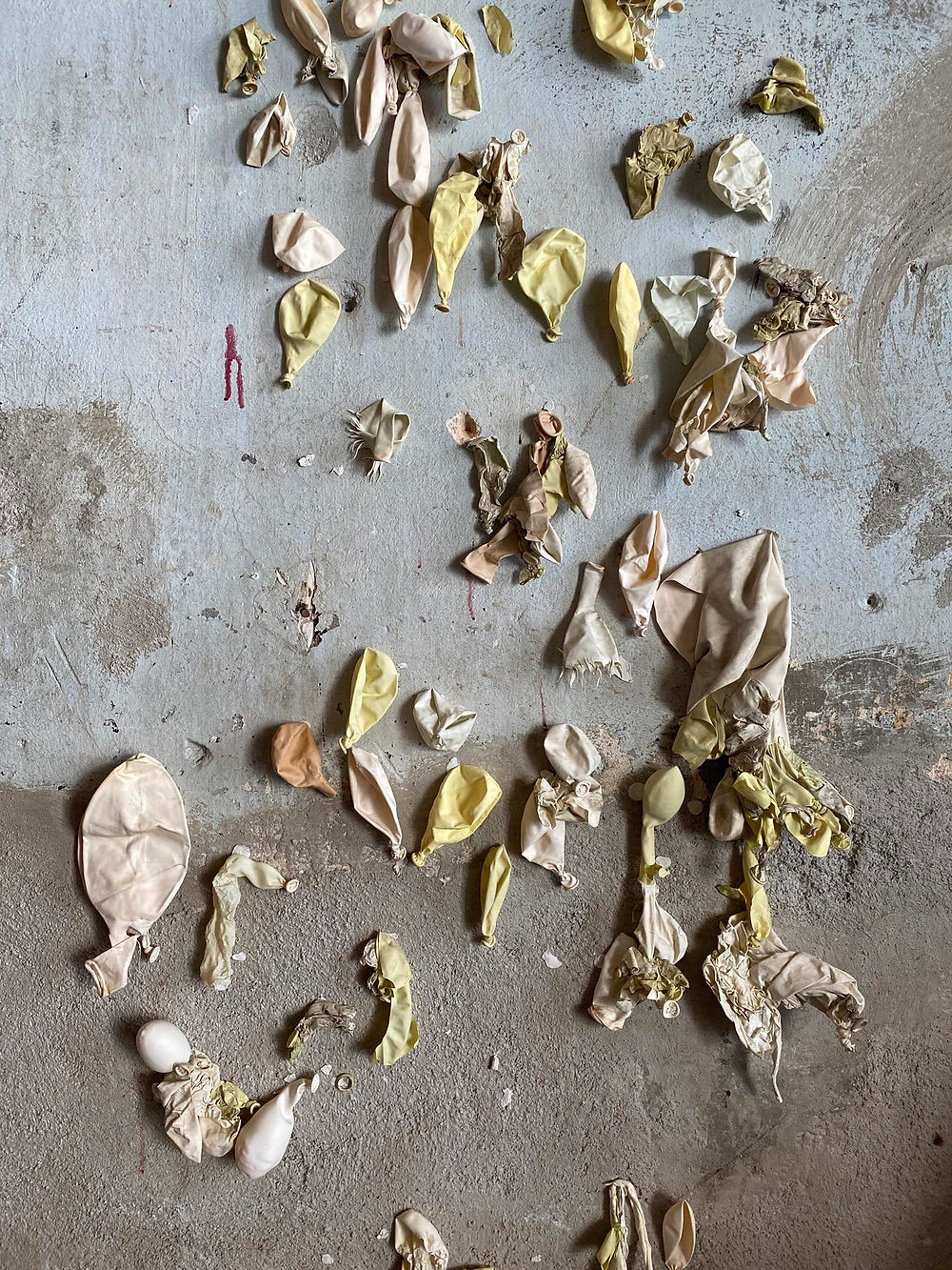 Dried, deflated balloons scattered on a gray surface