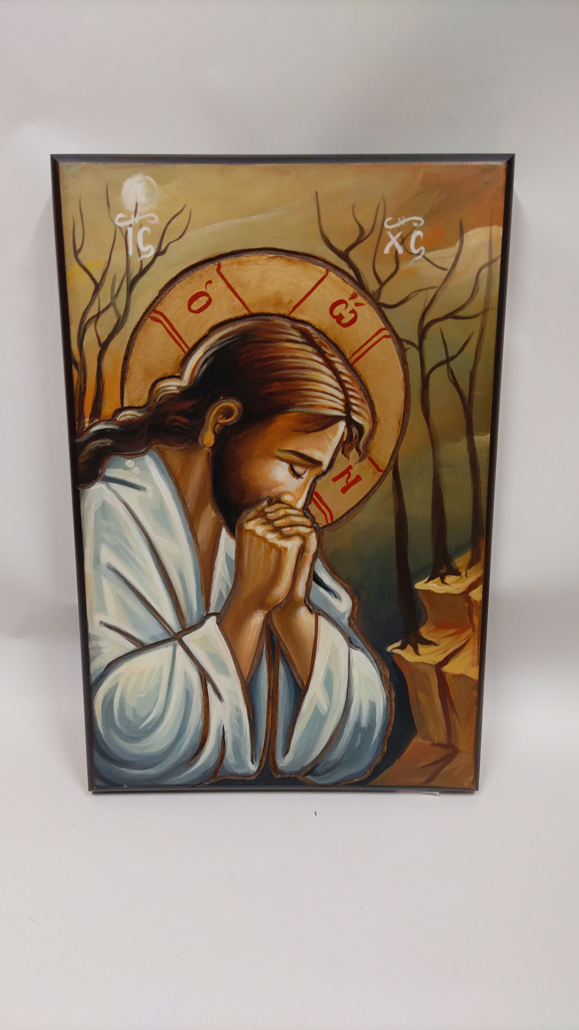 Jesus Praying in Getsemane 028