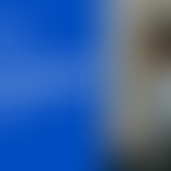 Google Business Listings, Google Ads & SEO: How PC Onsite Helps Your Business Get Found Online