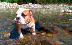 BOTERO 3.jpg