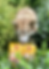 Pedigree Multivitamins